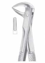 Fig. 137 lower incisors and roots 